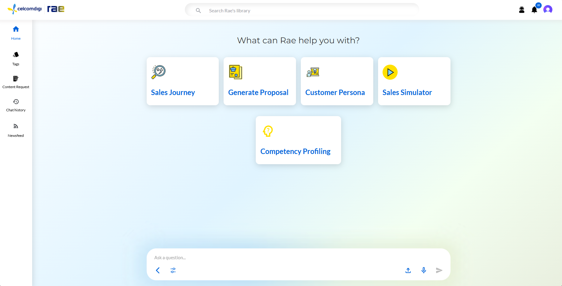 Rae home page showing the business enablement platform