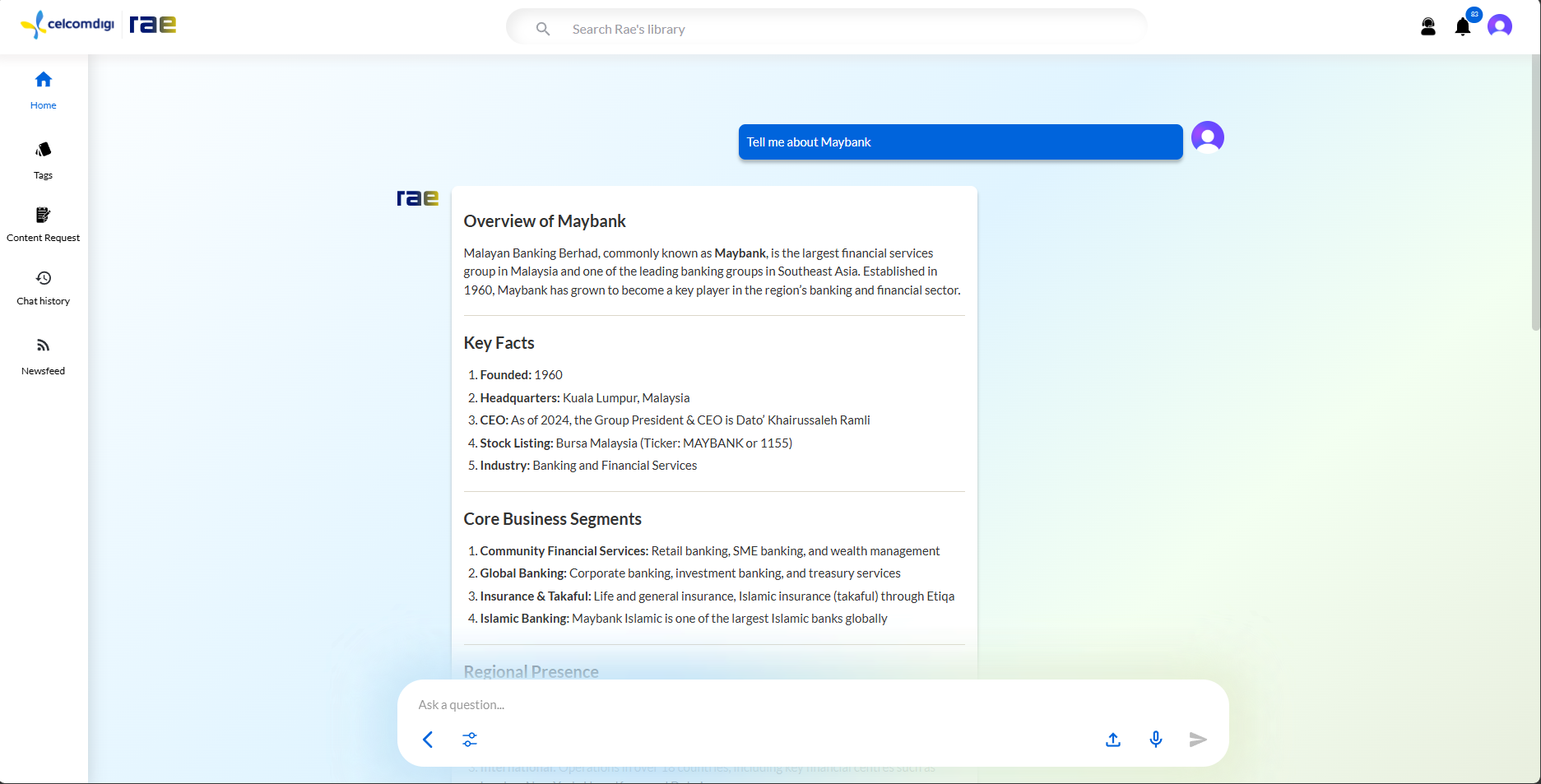 Rae Chat conversation screen